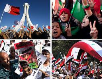 Perspectives on the Arab Spring